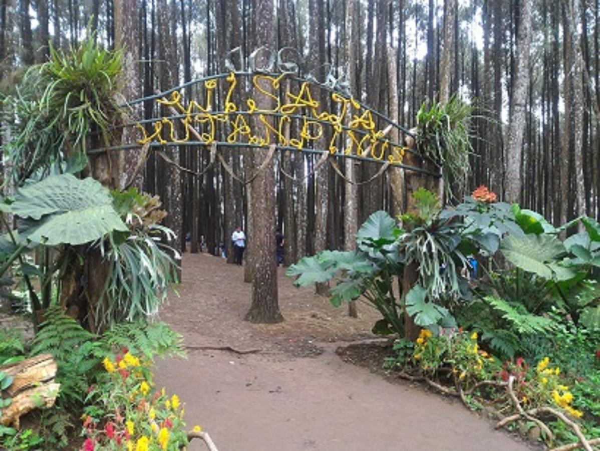 La Javanaise Home Stay Malioboro ジョグジャカルタ エクステリア 写真